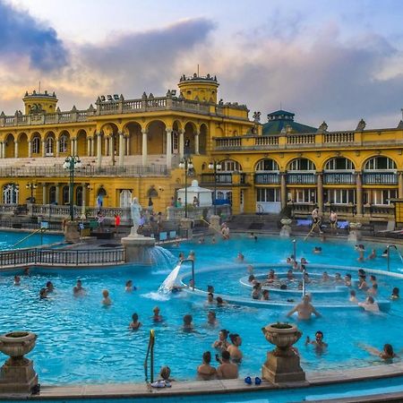 Varosliget Apartman Budapest Apartment Bagian luar foto